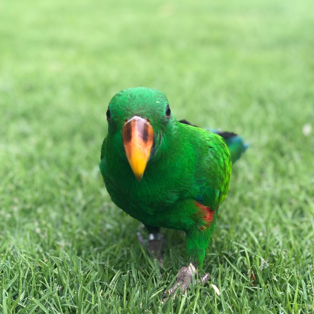 Meet your Posher, Lourdes